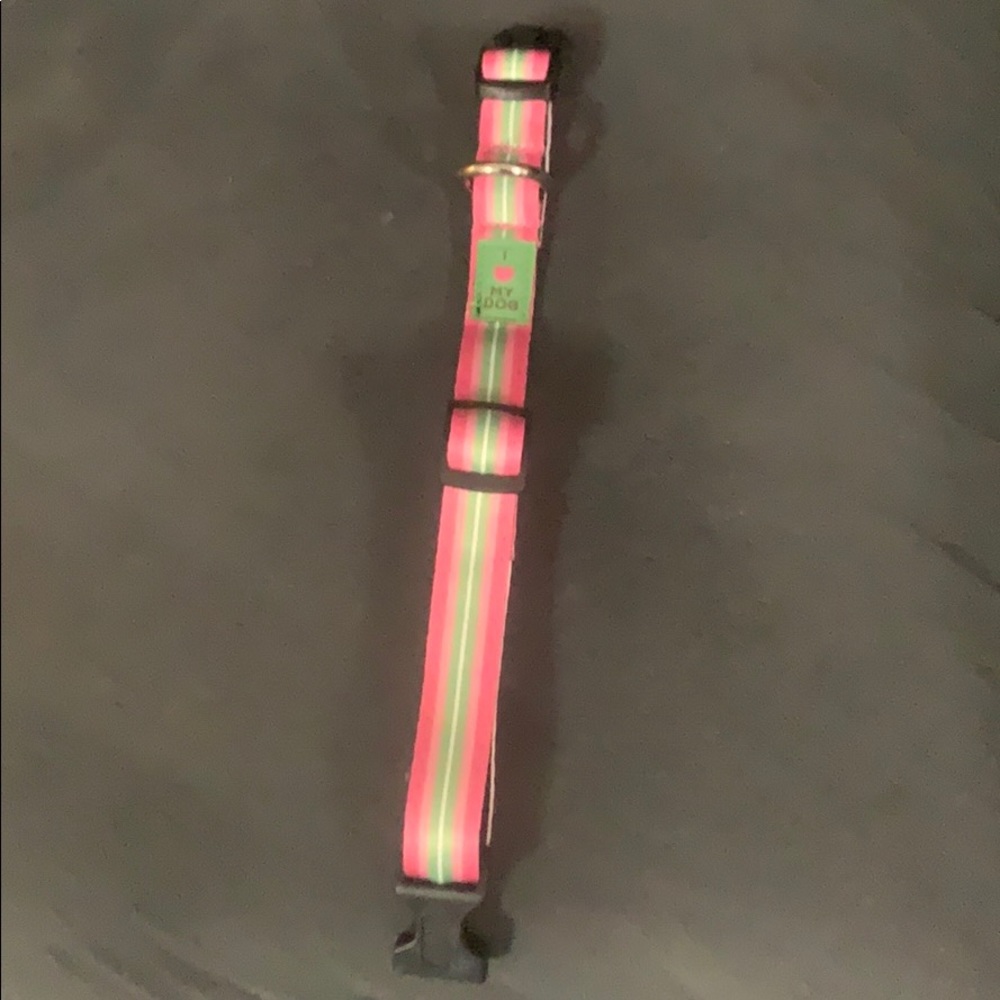 Pink & Green Small Dog Collar. Never used no tags